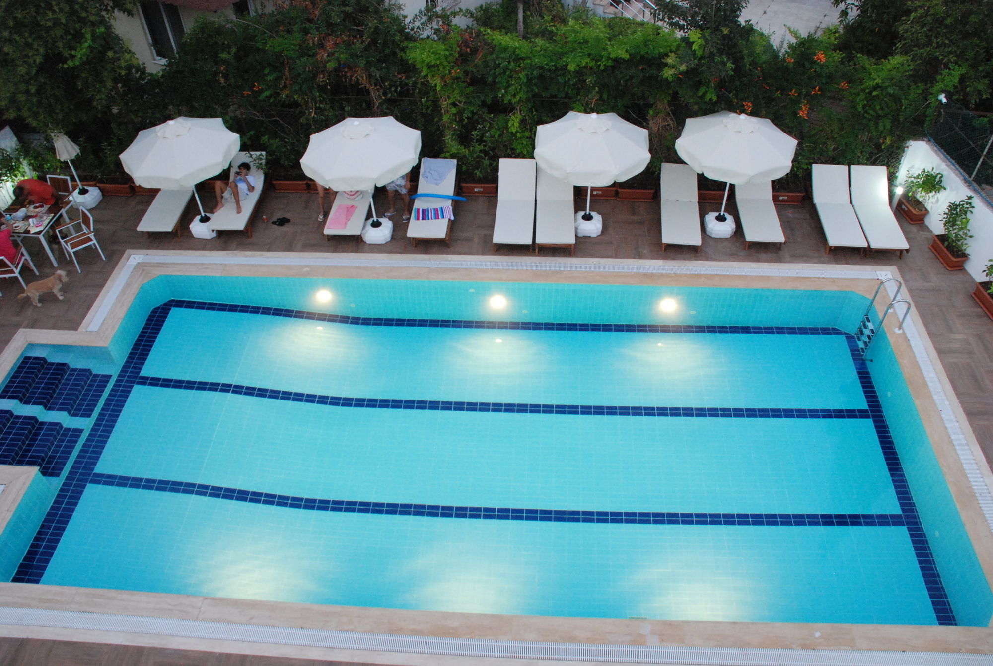 Elegance Hotel Κεμέρ Εξωτερικό φωτογραφία